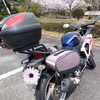 春だバイクに乗ろう　! !