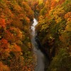 迫力満点！ほとばしる大噴湯と紅葉のコラボ：小安峡（秋田・湯沢）