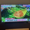 玄人のひとりごと