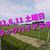 2022,6,11 土曜日 トラックバイアス予想 (東京競馬場、中京競馬場、函館競馬場)