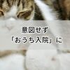 泥のように眠り、意図せず「おうち入院」ができた休日