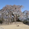 飯田の桜　　2017_04_19