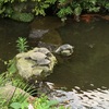 住民税が下がった