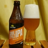 Green Flash Soul Style IPA 3種のホップでトロピカルで苦ーい激ウマIPA