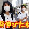 12月10日の動画