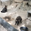 【岡山県】渋川動物公園