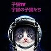 宇宙の子猫たち