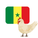 セネガルで養鶏を！
