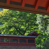 優しい日差し