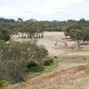 Werribee Open Range Zoo / ワラビー野外動物園(#106)