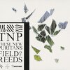 Field of Reeds/These New Puritans（2015）今日のDMM月額レンタル日記。#153