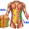 魅せる究極の腹筋にする方法！