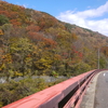 紅葉＠福島県郡山市