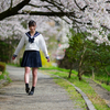 桜花爛漫  惜しむ春❣️ なるはちゃん その24 ─ リクエスト撮影 2024.4.11 松川周辺 ─
