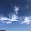 分かっちゃいるけどやめられないダメ人間です