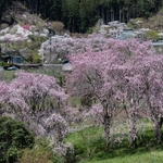 goo blogサービスの提供を終了のお知らせ