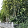 八幡の藪知らず