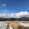 2021/01/03 月曜日　箱根駅伝復路