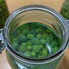 今年も美味い塩漬けが完成しました。