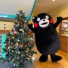 くまモン　ライティング2021のクリスマスイベントに出没