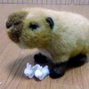 赤ちゃんカピバラをニュースで見て富士サファリパークの魅力をお伝えしたくなりました。