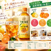 「午後の紅茶 ゆず柑橘ティー」高知県産ゆず×愛媛県産みかん！季節限定の味わいに注目