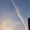 罹患離難、開花前後、永田和宏氏「某月某日」読了
