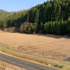 田植えの準備、進行中