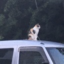 逃げたいとか、もう頑張れないとか、そんな話し