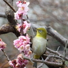 水月公園