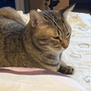 記念日の過ごし方