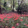 境 御嶽山自然の森公園