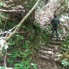 素人の熊野古道一人歩き ～中辺路②（継桜王子⇒熊野本宮大社）前編～