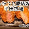 【日本橋】とんかつと豚肉料理 平田牧場 COREDO日本橋店