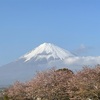 富士山フォト♪　4/13  2025