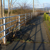 風が強くて歩道に逃げました・・・（自転車が歩道を通行できる条件とは？）