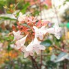 誰にも言えないこの事情　😞