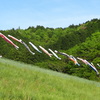 大町藤公園②