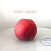 ねっとり甘いオーストラリア産の黄桃（Peach Yellow）