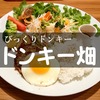 野菜爆盛、バーグ少なめの『ドンキー畑』は男に物足りないのでは？