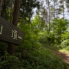 【ソロ登山】冷凍餃子買いに行くついでに宇津峰登山（676.9m）