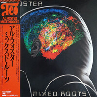 JOSEPHINE　FOSTER　レア盤　acidfolk アシッドフォーク JOSEPHINE FOSTER レア盤 acidfolk アシッドフォーク - メルカリ