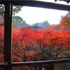 【東福寺】歩いて行けるホテル～おススメ時期・時間・アクセス方法は？／京都・東山