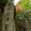 上に参りまぁ～す…７