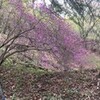 こちら葛飾区水元公園前通信８７３