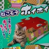 だってガチャガチャレベルのお値段になってたらさぁw
