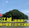 第1425話　自刃した信長の弟・織田彦七郎信興