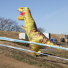 ズイフトBクラスグループライド