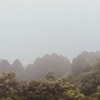 今朝の景色