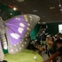 国立科学博物館「昆虫」展に行きました